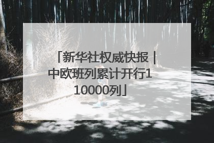 新华社权威快报｜中欧班列累计开行110000列