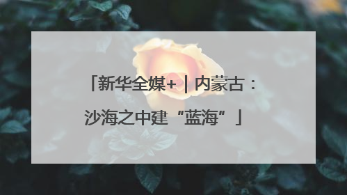 新华全媒+｜内蒙古：沙海之中建“蓝海”