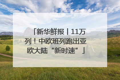新华鲜报丨11万列！中欧班列跑出亚欧大陆“新时速”