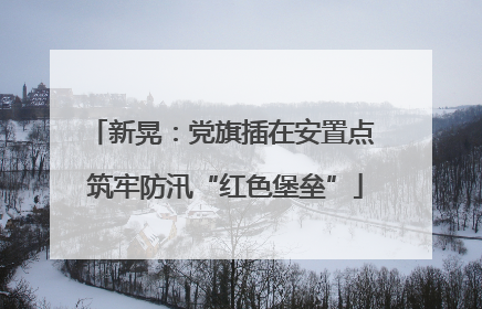 新晃：党旗插在安置点 筑牢防汛“红色堡垒”