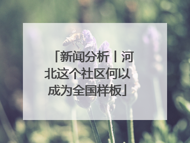 新闻分析丨河北这个社区何以成为全国样板