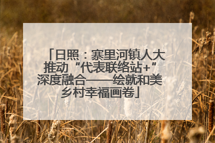 日照：寨里河镇人大推动“代表联络站+”深度融合——绘就和美乡村幸福画卷