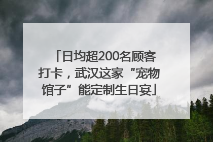 日均超200名顾客打卡，武汉这家“宠物馆子”能定制生日宴