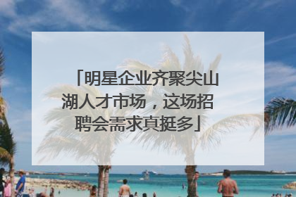明星企业齐聚尖山湖人才市场，这场招聘会需求真挺多