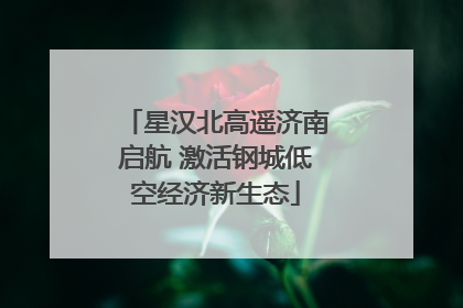 星汉北高遥济南启航 激活钢城低空经济新生态