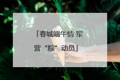 春城端午情 军营“粽”动员