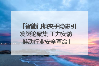 智能门锁夹手隐患引发舆论聚集 王力安防推动行业安全革命