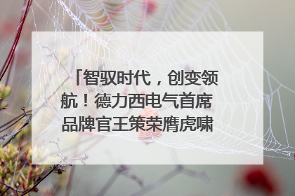 智驭时代，创变领航！德力西电气首席品牌官王策荣膺虎啸奖年度品牌人物