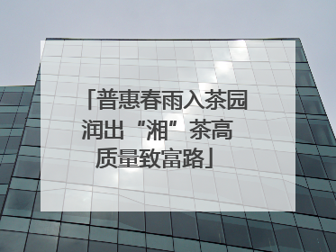 普惠春雨入茶园 润出“湘”茶高质量致富路