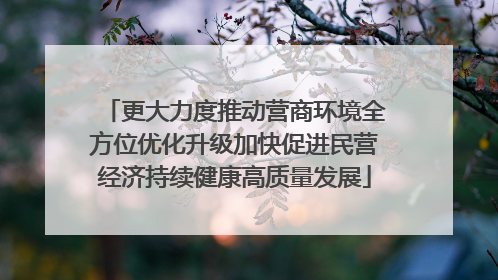 更大力度推动营商环境全方位优化升级加快促进民营经济持续健康高质量发展
