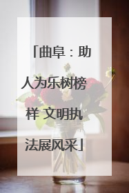曲阜：助人为乐树榜样 文明执法展风采