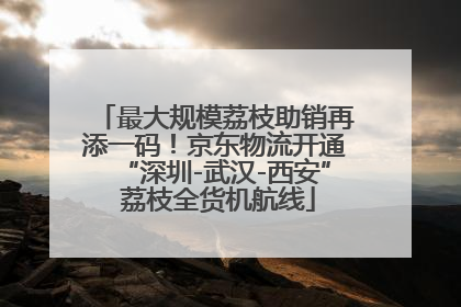 最大规模荔枝助销再添一码！京东物流开通“深圳-武汉-西安” 荔枝全货机航线