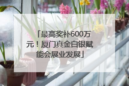 最高奖补600万元！厦门真金白银赋能会展业发展