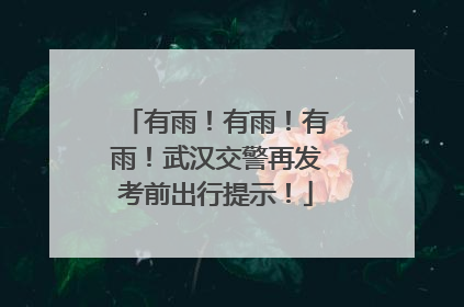 有雨！有雨！有雨！武汉交警再发考前出行提示！