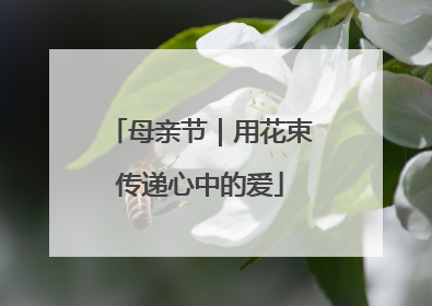母亲节｜用花束传递心中的爱