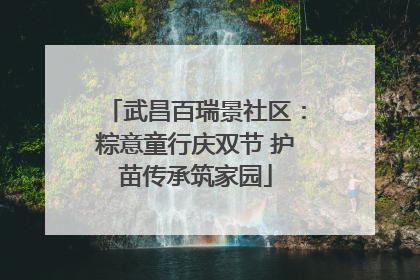 武昌百瑞景社区：粽意童行庆双节 护苗传承筑家园