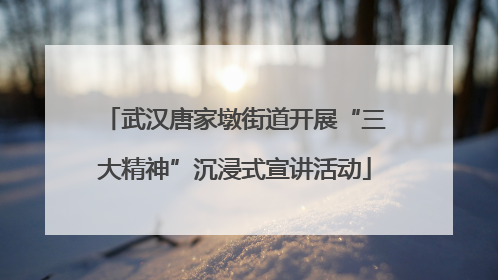 武汉唐家墩街道开展“三大精神”沉浸式宣讲活动