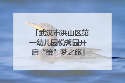武汉市洪山区第一幼儿园悦馨园开启“绘”梦之旅