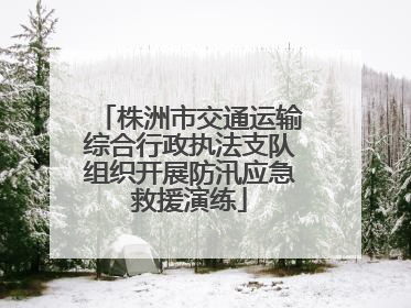 株洲市交通运输综合行政执法支队组织开展防汛应急救援演练