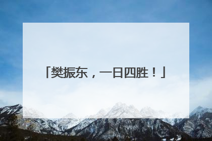 樊振东，一日四胜！