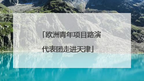 欧洲青年项目路演代表团走进天津