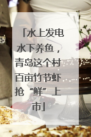 水上发电水下养鱼，青岛这个村百亩竹节虾抢“鲜”上市