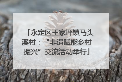 永定区王家坪镇马头溪村：“非遗赋能乡村振兴”交流活动举行
