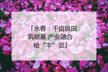 永春：千亩良田筑根基 产业融合绘“丰”景