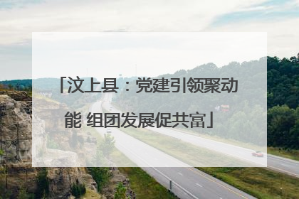 汶上县：党建引领聚动能 组团发展促共富