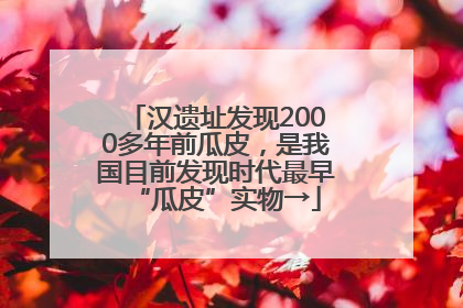 汉遗址发现2000多年前瓜皮，是我国目前发现时代最早“瓜皮”实物→