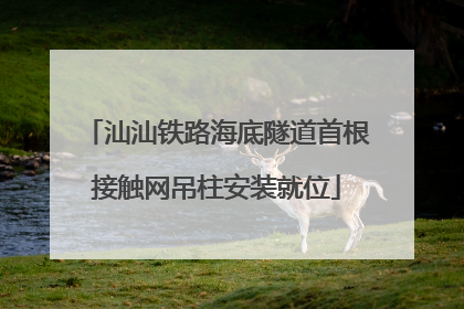 汕汕铁路海底隧道首根接触网吊柱安装就位