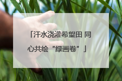 汗水浇灌希望田 同心共绘“绿画卷”