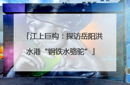 江上巨构：探访岳阳洪水港“钢铁水骆驼”