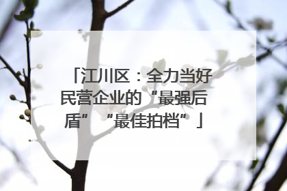 江川区：全力当好民营企业的“最强后盾”“最佳拍档”
