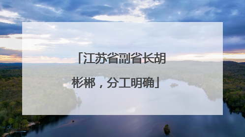 江苏省副省长胡彬郴，分工明确