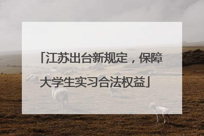 江苏出台新规定，保障大学生实习合法权益