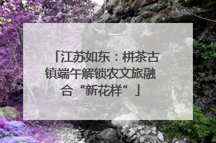 江苏如东：栟茶古镇端午解锁农文旅融合“新花样”