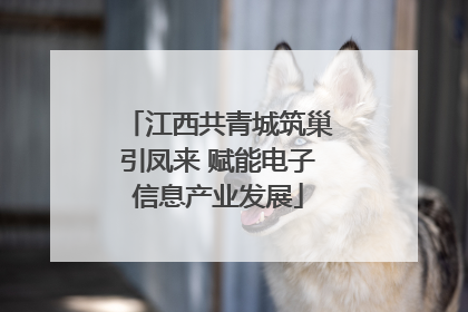 江西共青城筑巢引凤来 赋能电子信息产业发展