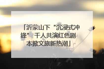 沂蒙山下“沉浸式冲锋” 千人共演红色剧本掀文旅新热潮