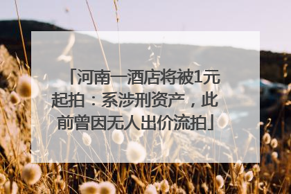 河南一酒店将被1元起拍：系涉刑资产，此前曾因无人出价流拍