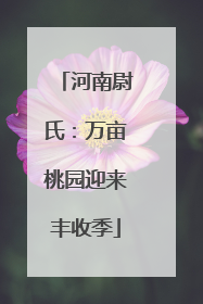 河南尉氏：万亩桃园迎来丰收季