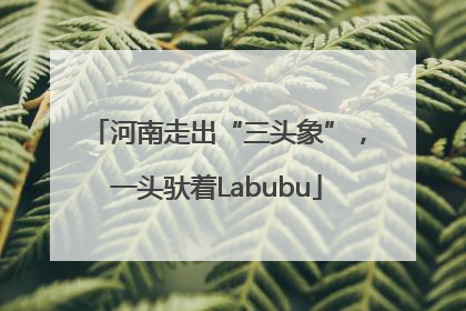 河南走出“三头象”，一头驮着Labubu