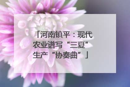河南镇平：现代农业谱写“三夏”生产“协奏曲”