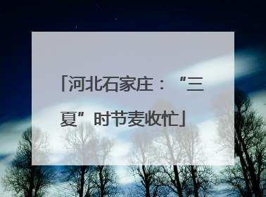 河北石家庄：“三夏”时节麦收忙
