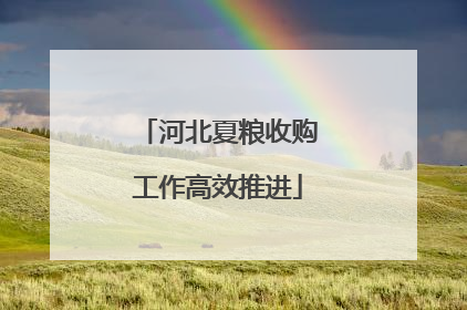 河北夏粮收购工作高效推进