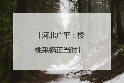 河北广平：樱桃采摘正当时