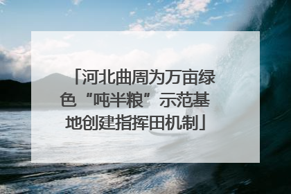 河北曲周为万亩绿色“吨半粮”示范基地创建指挥田机制