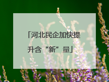 河北民企加快提升含“新”量