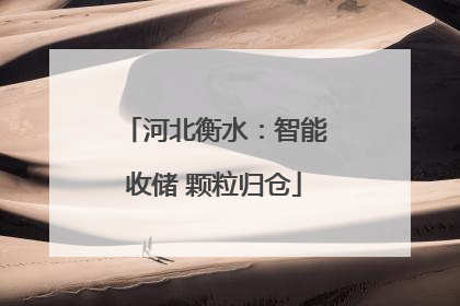 河北衡水：智能收储 颗粒归仓