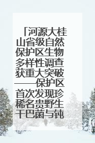 河源大桂山省级自然保护区生物多样性调查获重大突破——保护区首次发现珍稀名贵野生干巴菌与钝尾两头蛇